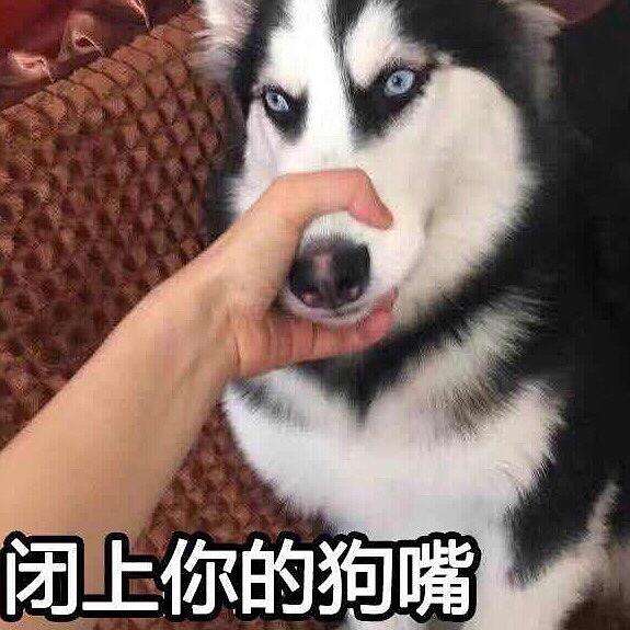 培训协议不能忽略