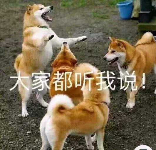 明年的情况会好转吗