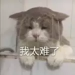 这是什么神仙比例? 