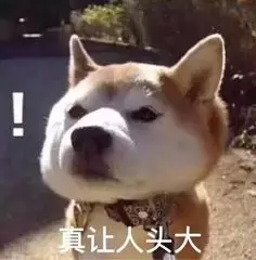 什么时候参加播音主持培训，才不会对文化课造成影响?