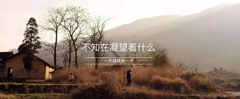 西北艺术集结地 | 公益纪录片《矮婆》将在艺鸣观影室放映