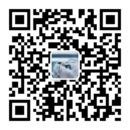 陕西省2020年播音编导统考试题答案